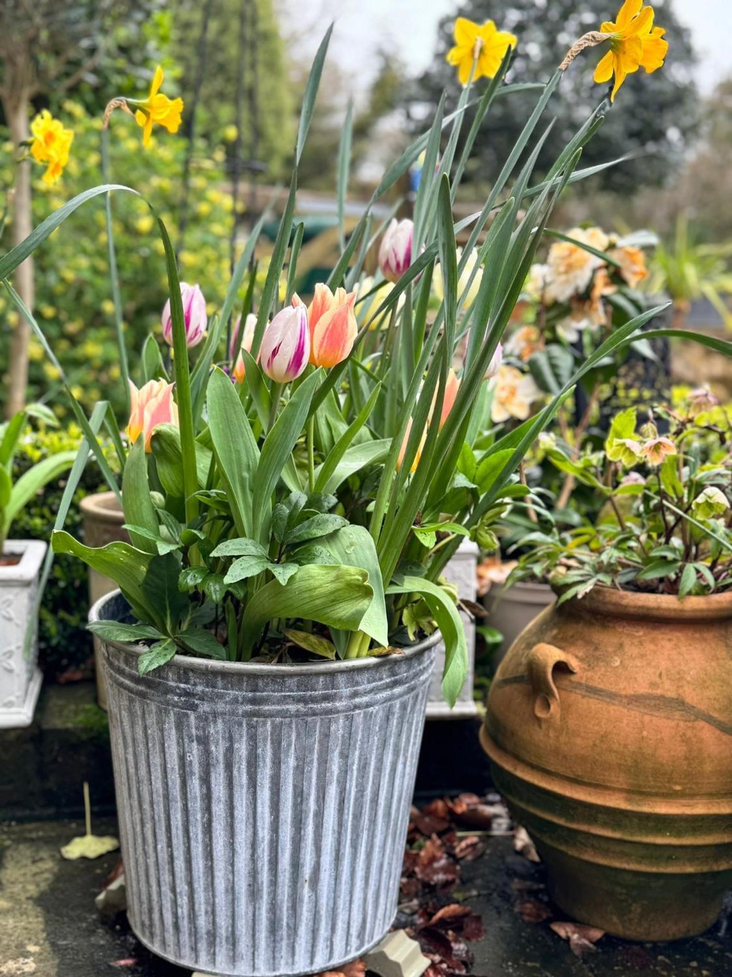 'Bramley Fall Cottage' ' On Site Ev Point - Attached Cottage,3 Separate Bedrooms -1 On Ground Level, Sleeps 6, 2 Bathrooms, Sandy Wittering Beach 8Min Drive, Rural Location, Child Friendly, Small Breed Dog Friendly, Private Parking チチェスター エクステリア 写真