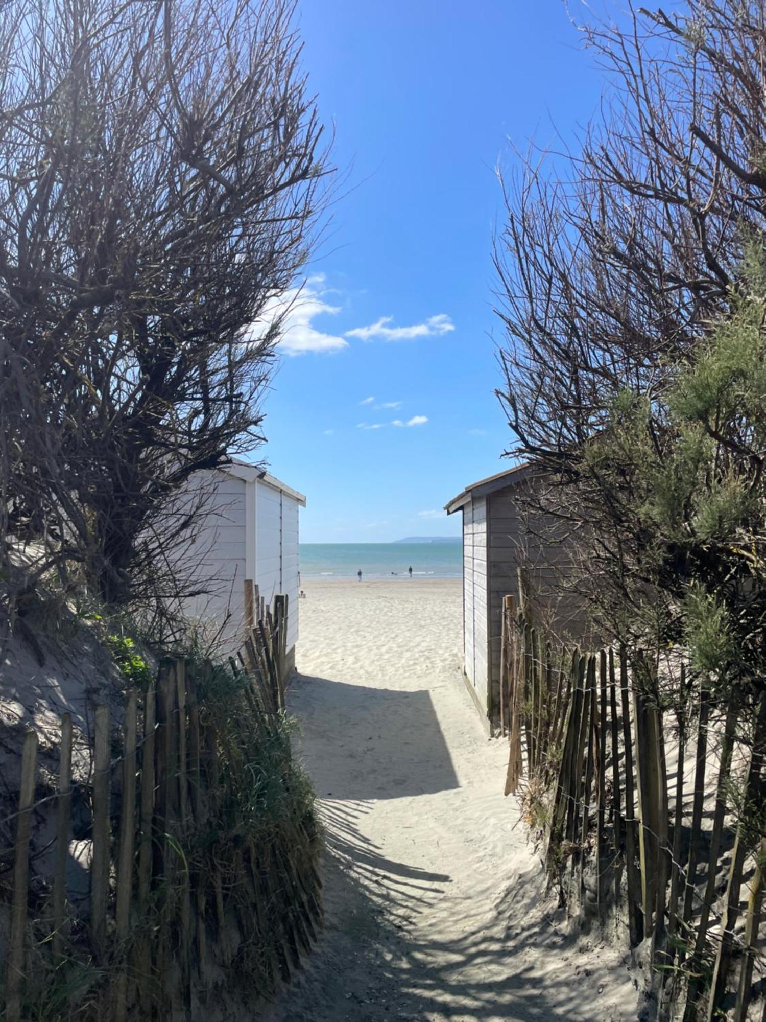 'Bramley Fall Cottage' ' On Site Ev Point - Attached Cottage,3 Separate Bedrooms -1 On Ground Level, Sleeps 6, 2 Bathrooms, Sandy Wittering Beach 8Min Drive, Rural Location, Child Friendly, Small Breed Dog Friendly, Private Parking チチェスター エクステリア 写真